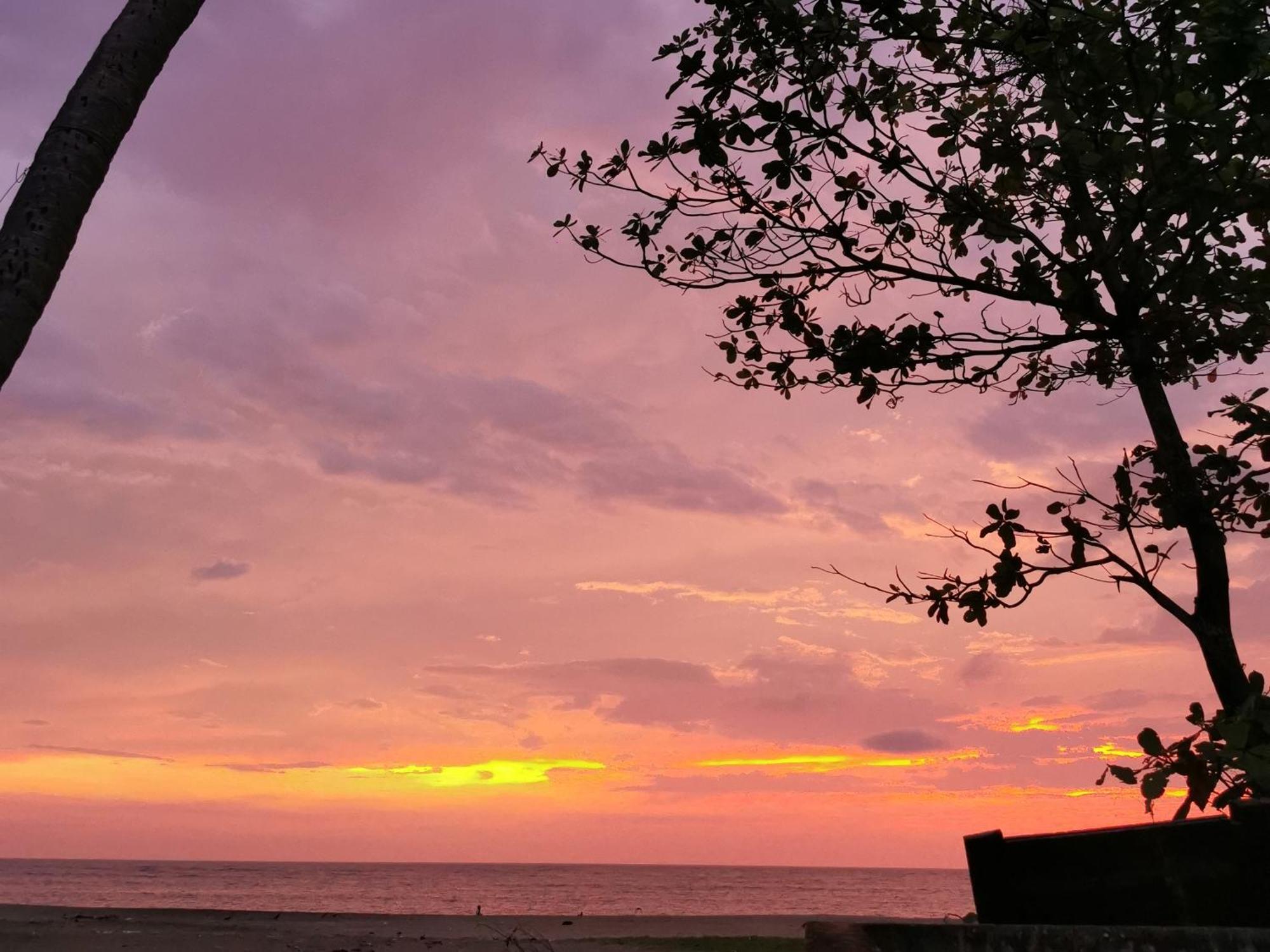 Alappuzha Jeehaa Homestay المظهر الخارجي الصورة