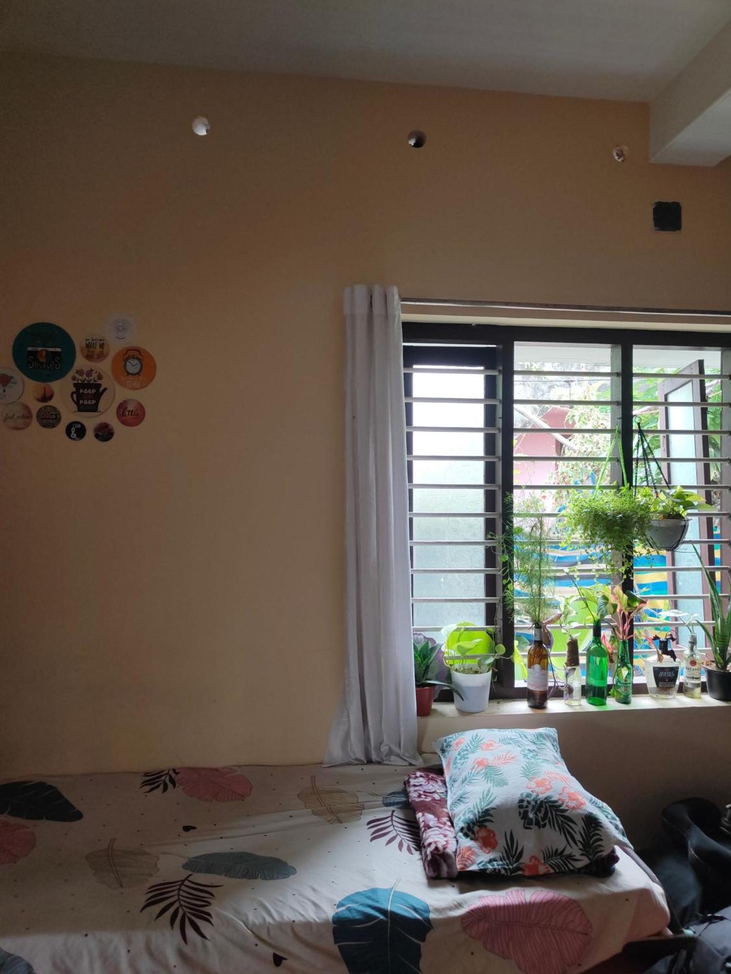 Alappuzha Jeehaa Homestay المظهر الخارجي الصورة