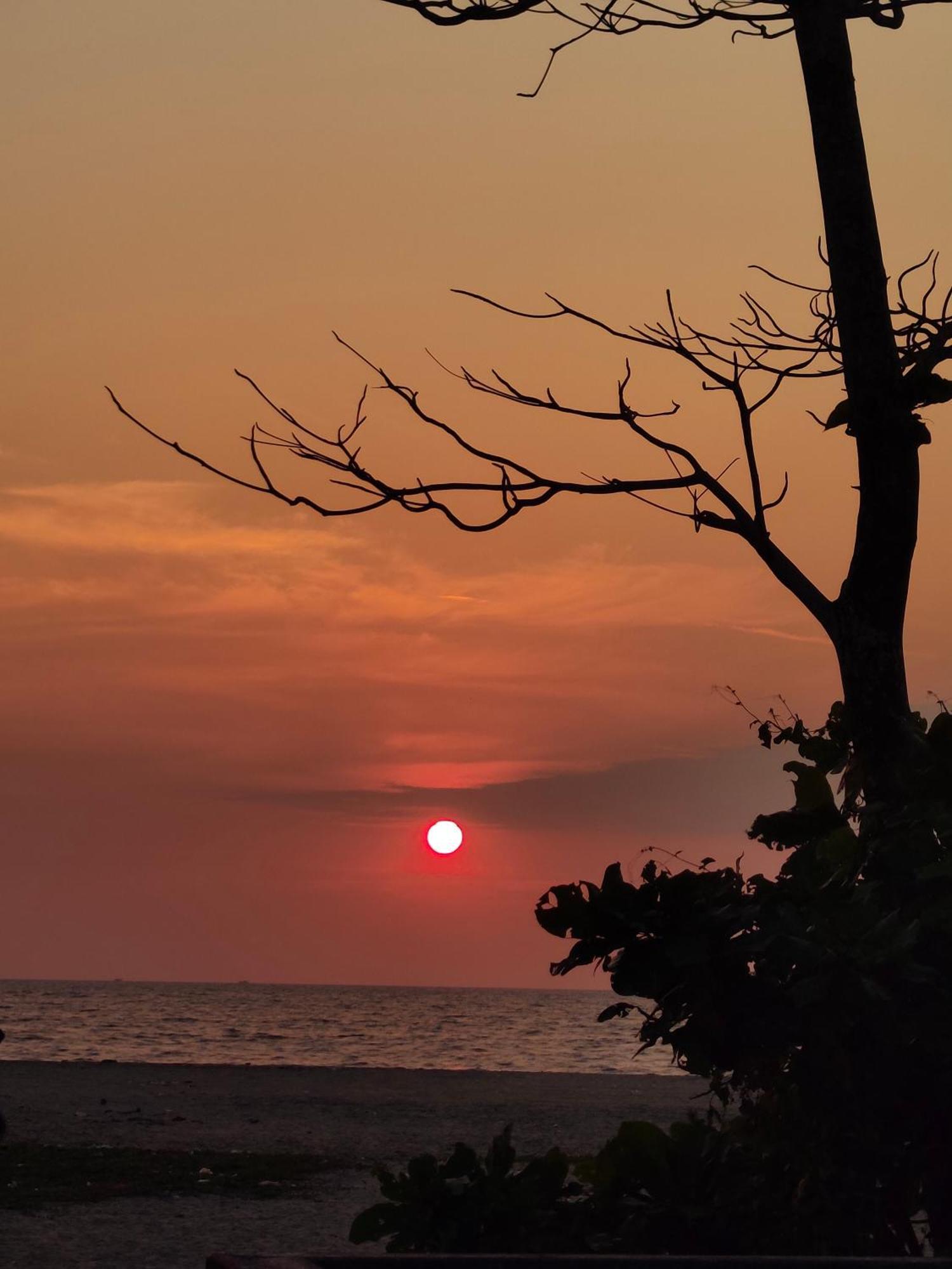 Alappuzha Jeehaa Homestay المظهر الخارجي الصورة